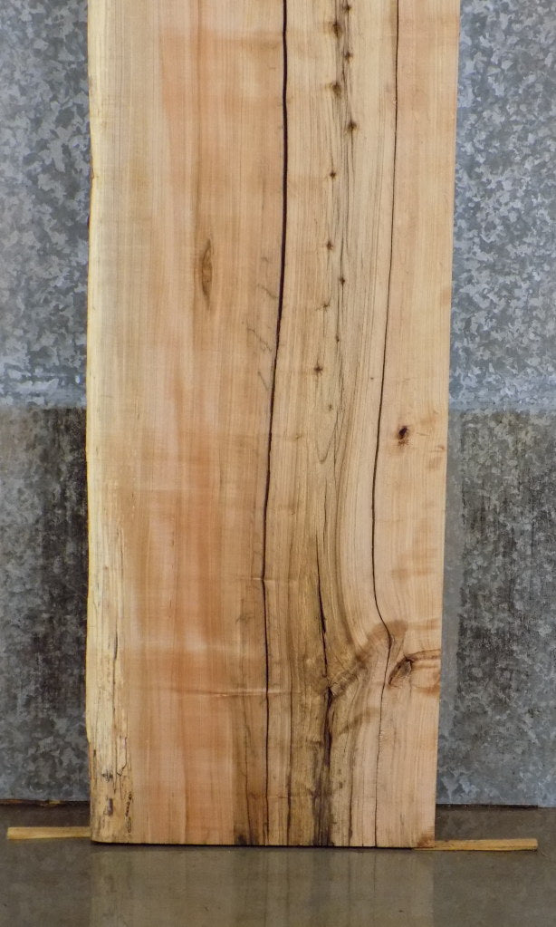 3- Partial Live Edge Maple Split Board Table Top Slab CLOSEOUT 39224-39226