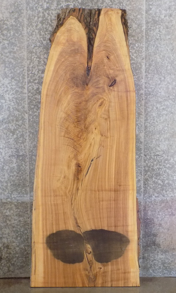 Live Edge Salvaged Ash Bar/Table/Desk Top Wood Slab 39227