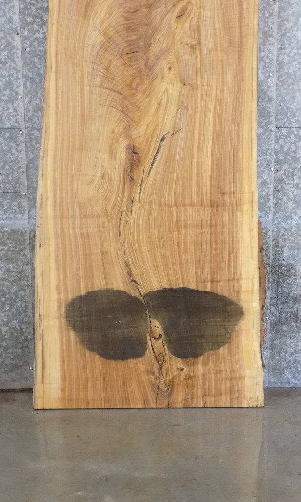 Live Edge Salvaged Ash Bar/Table/Desk Top Wood Slab 39227