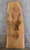Thumbnail for Live Edge Salvaged Ash Bar/Table/Desk Top Wood Slab 39227