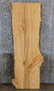 Thumbnail for Hardwood Live Edge Ash Sofa/Coffee Table/Desk Top Slab 39244