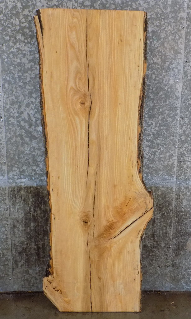 Hardwood Live Edge Ash Sofa/Coffee Table/Desk Top Slab 39244