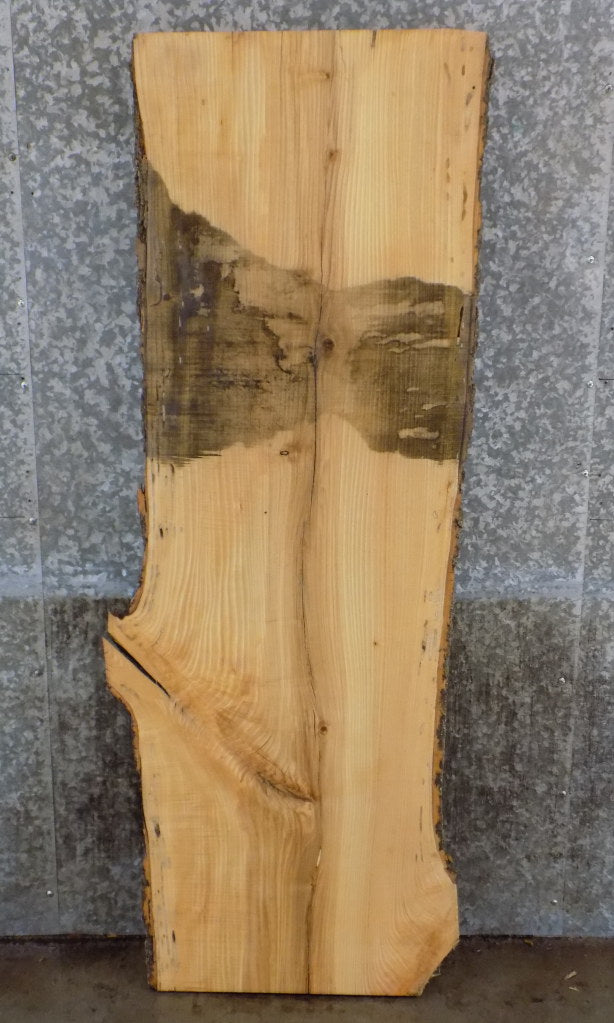 Hardwood Live Edge Ash Sofa/Coffee Table/Desk Top Slab 39244