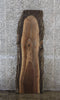Thumbnail for Black Walnut Live Edge Coffee Table/Bench Slab 39247