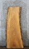 Thumbnail for Live Edge Ash Coffee Table Top Slab 39248