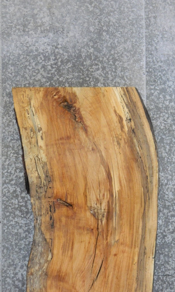 Live Edge Spalted Maple Bar/Table Top Wood Slab 39251
