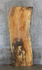 Thumbnail for Live Edge Spalted Maple Bar/Table Top Wood Slab 39251