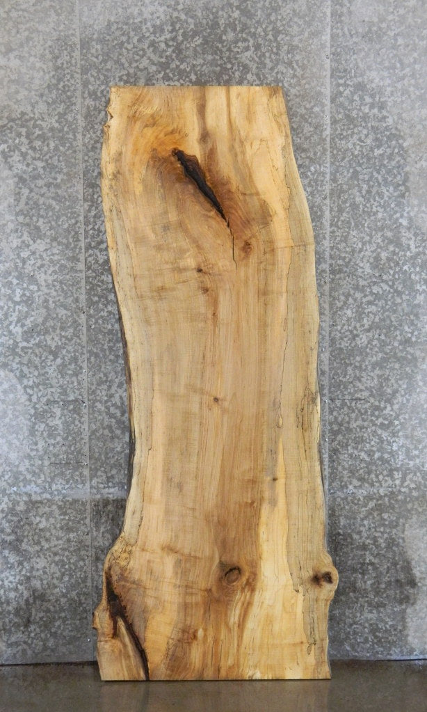 Spalted Maple Live Edge Bar/Table Top Wood Slab CLOSEOUT 39256