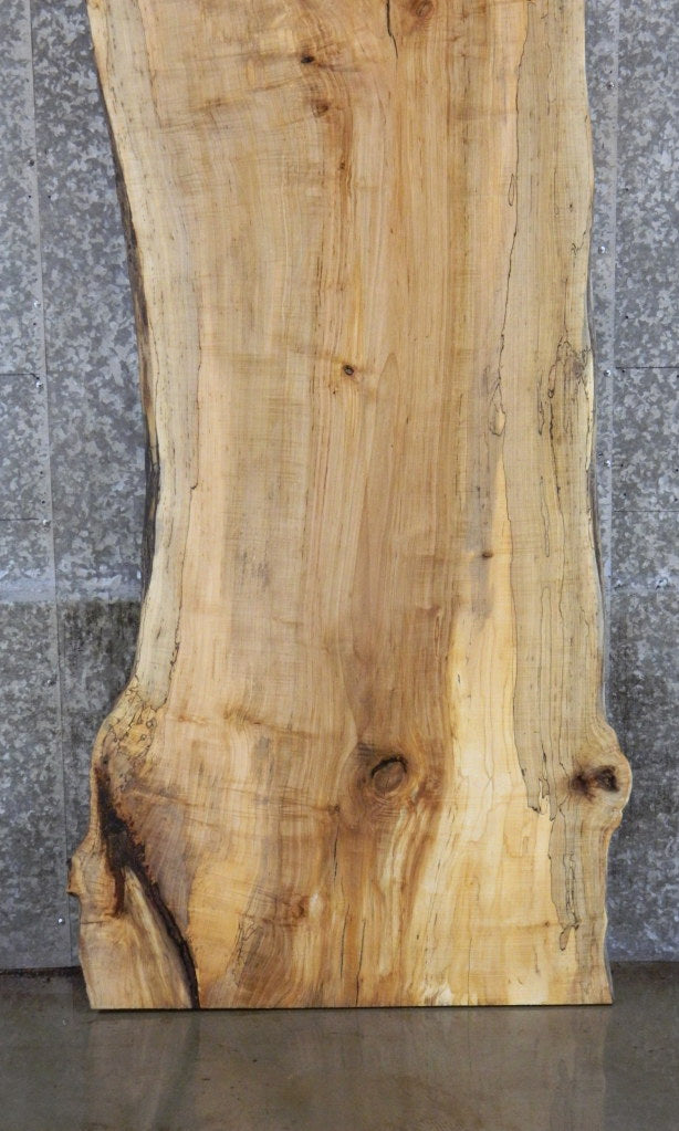 Spalted Maple Live Edge Bar/Table Top Wood Slab CLOSEOUT 39256