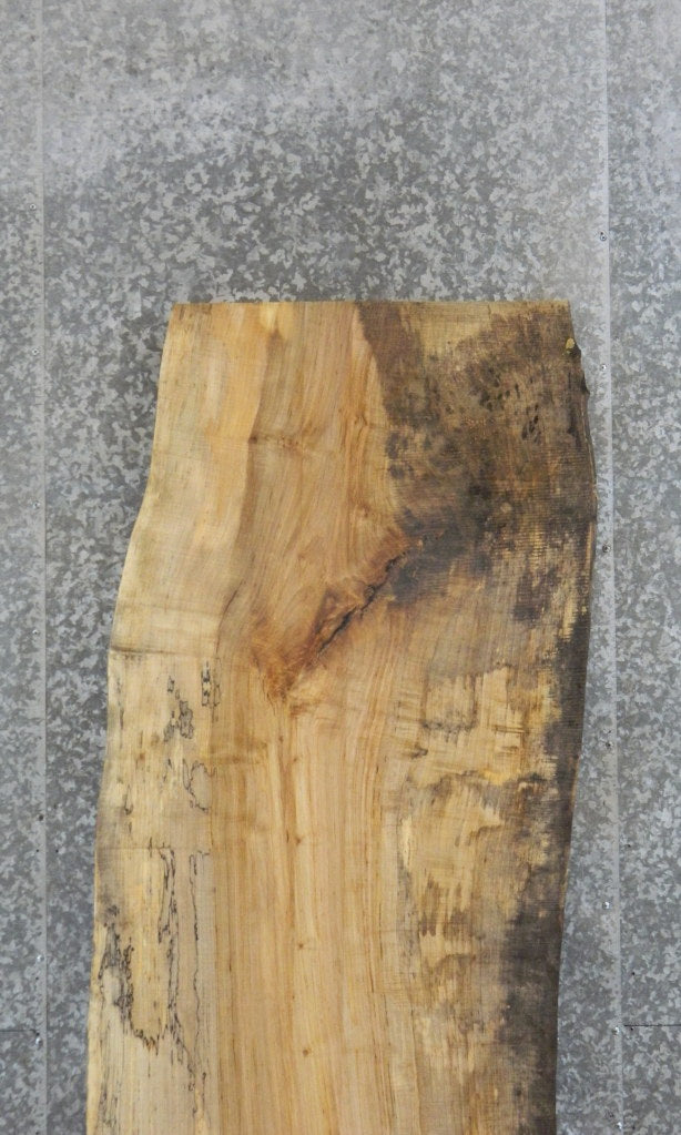 Spalted Maple Live Edge Bar/Table Top Wood Slab 39256