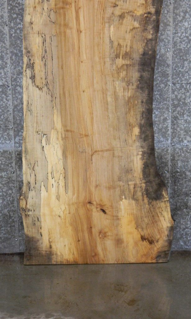 Spalted Maple Live Edge Bar/Table Top Wood Slab 39256