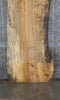 Thumbnail for Spalted Maple Live Edge Bar/Table Top Wood Slab CLOSEOUT 39256