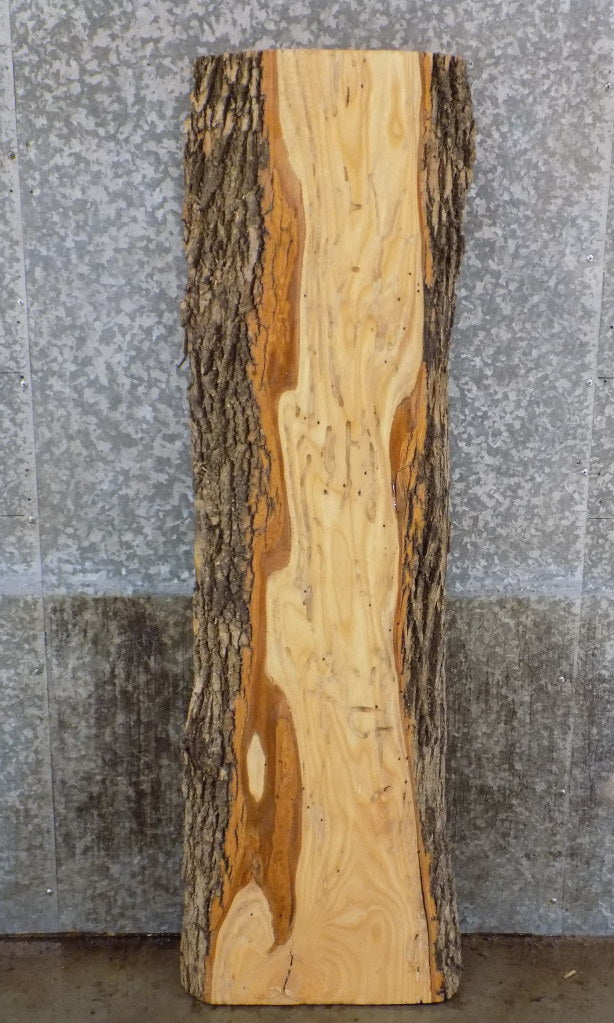 Live Edge Bark Ash Reclaimed Sofa/Coffee Table Slab CLOSEOUT 39270
