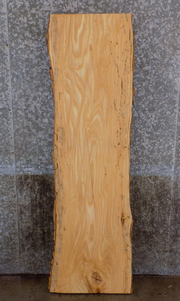Live Edge Bark Ash Reclaimed Sofa/Coffee Table Slab CLOSEOUT 39270