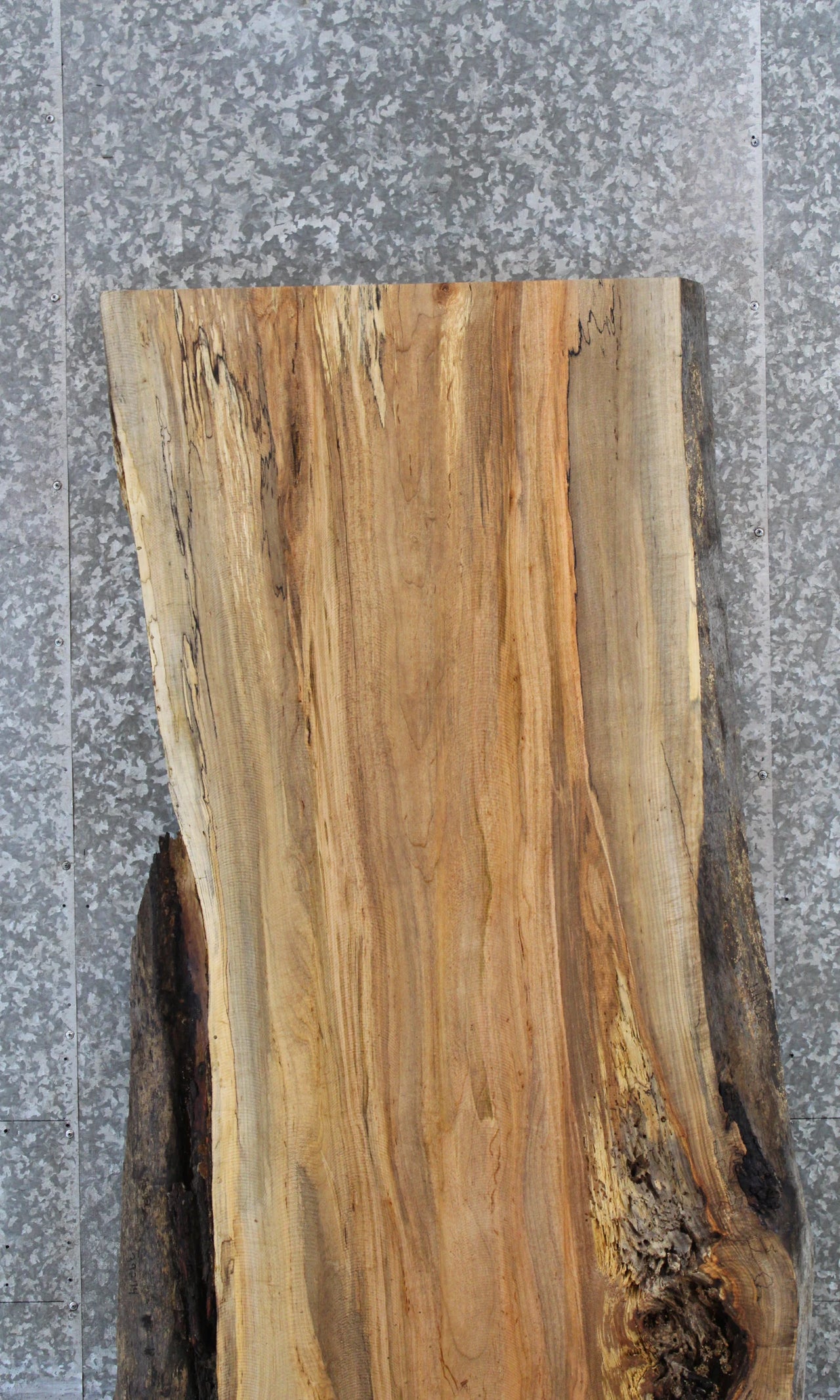 Live Edge Spalted Maple Kitchen Dining or Bar Top Slab 39274