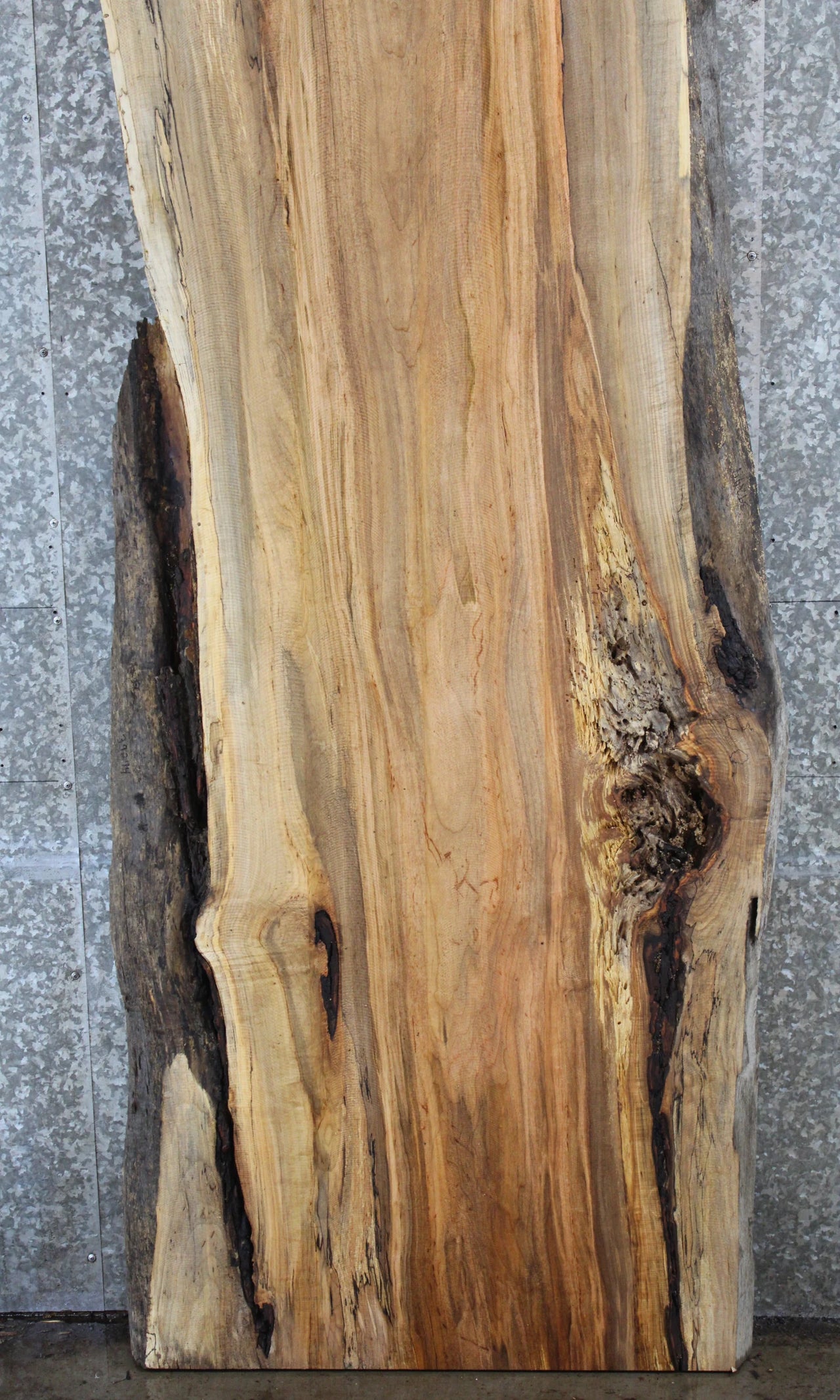 Live Edge Spalted Maple Kitchen Dining or Bar Top Slab 39274