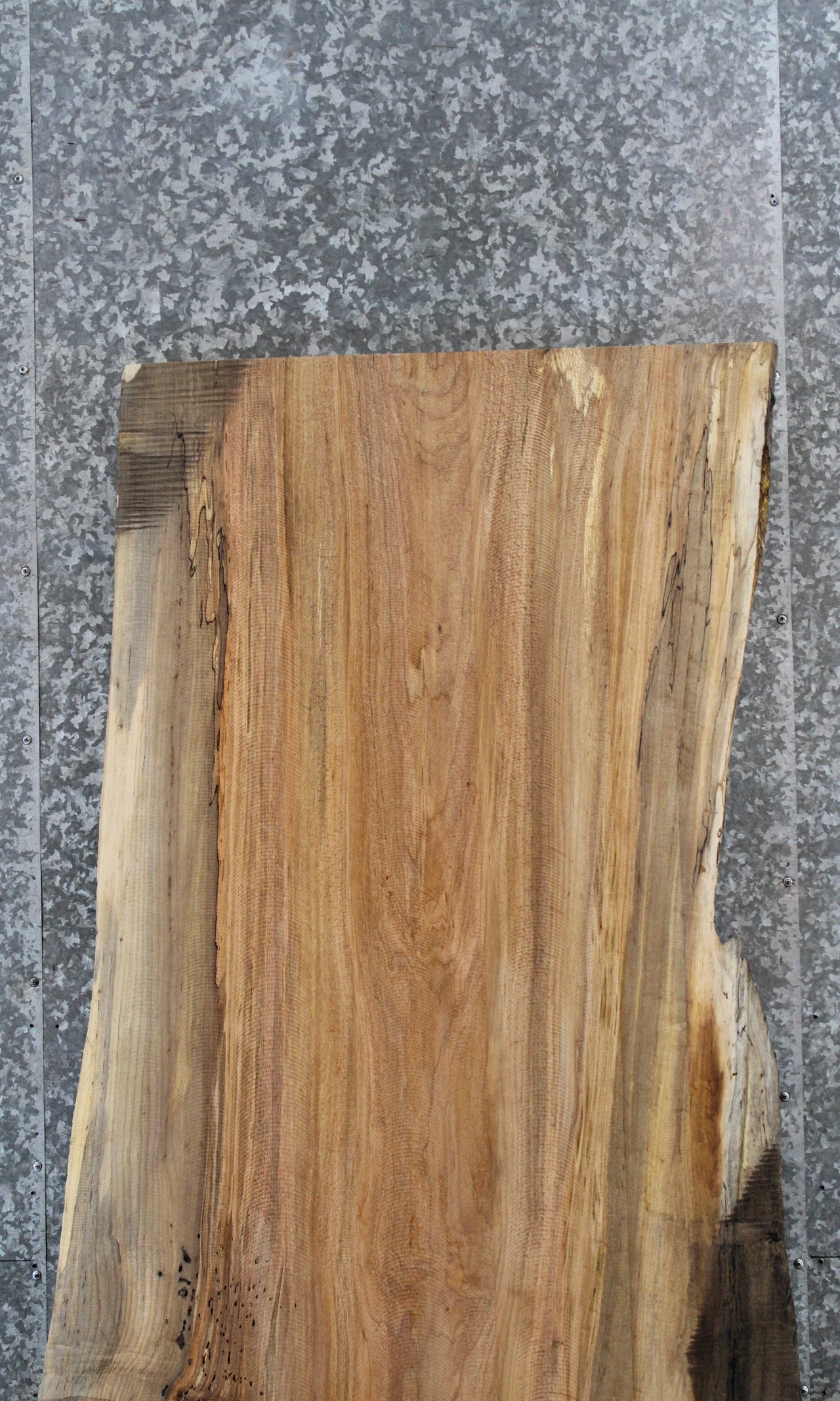 Live Edge Spalted Maple Kitchen Dining or Bar Top Slab 39274