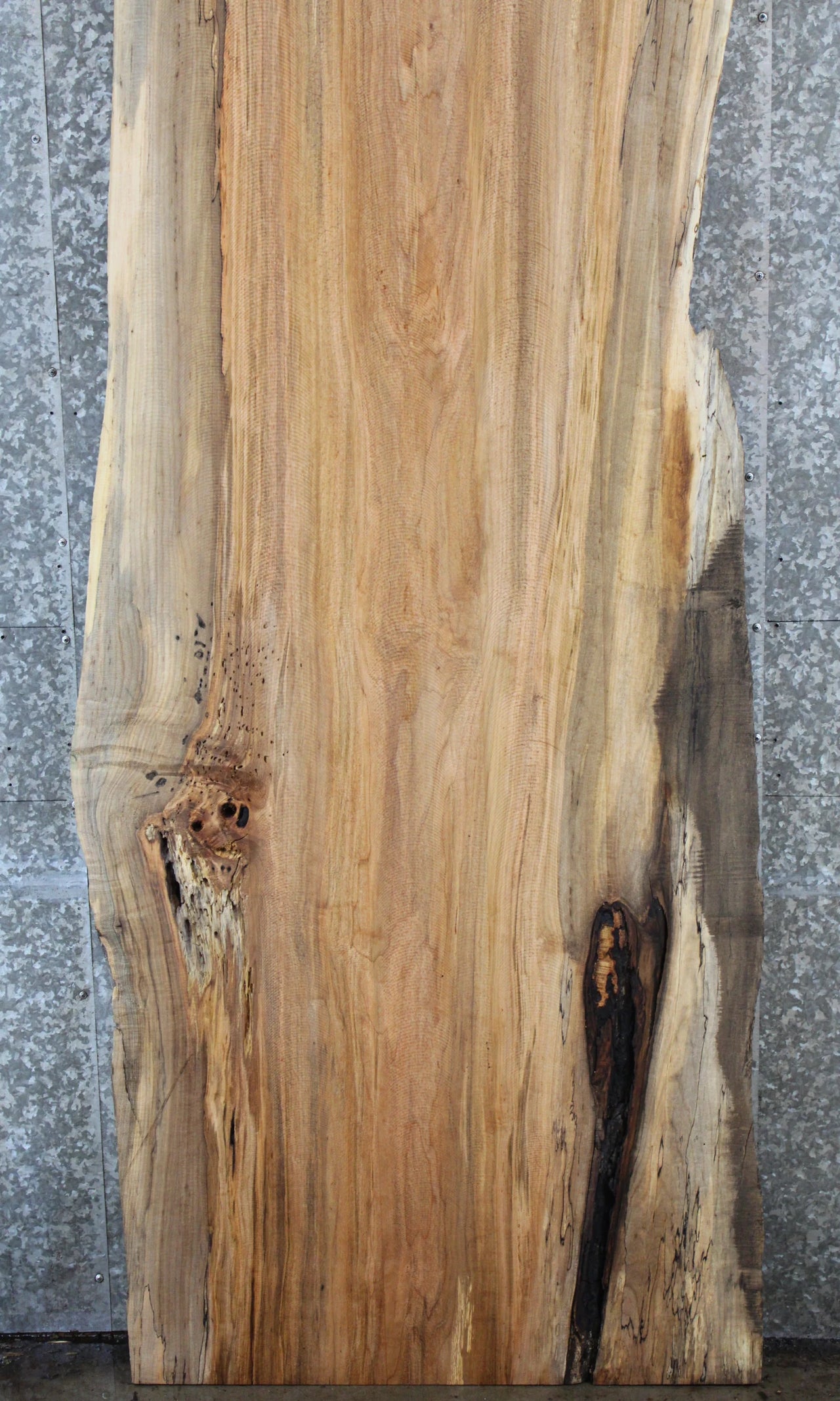 Live Edge Spalted Maple Kitchen Dining or Bar Top Slab 39274