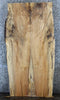 Thumbnail for 2- Live Edge Spalted Maple Conference Table Top Slabs 39302-39303