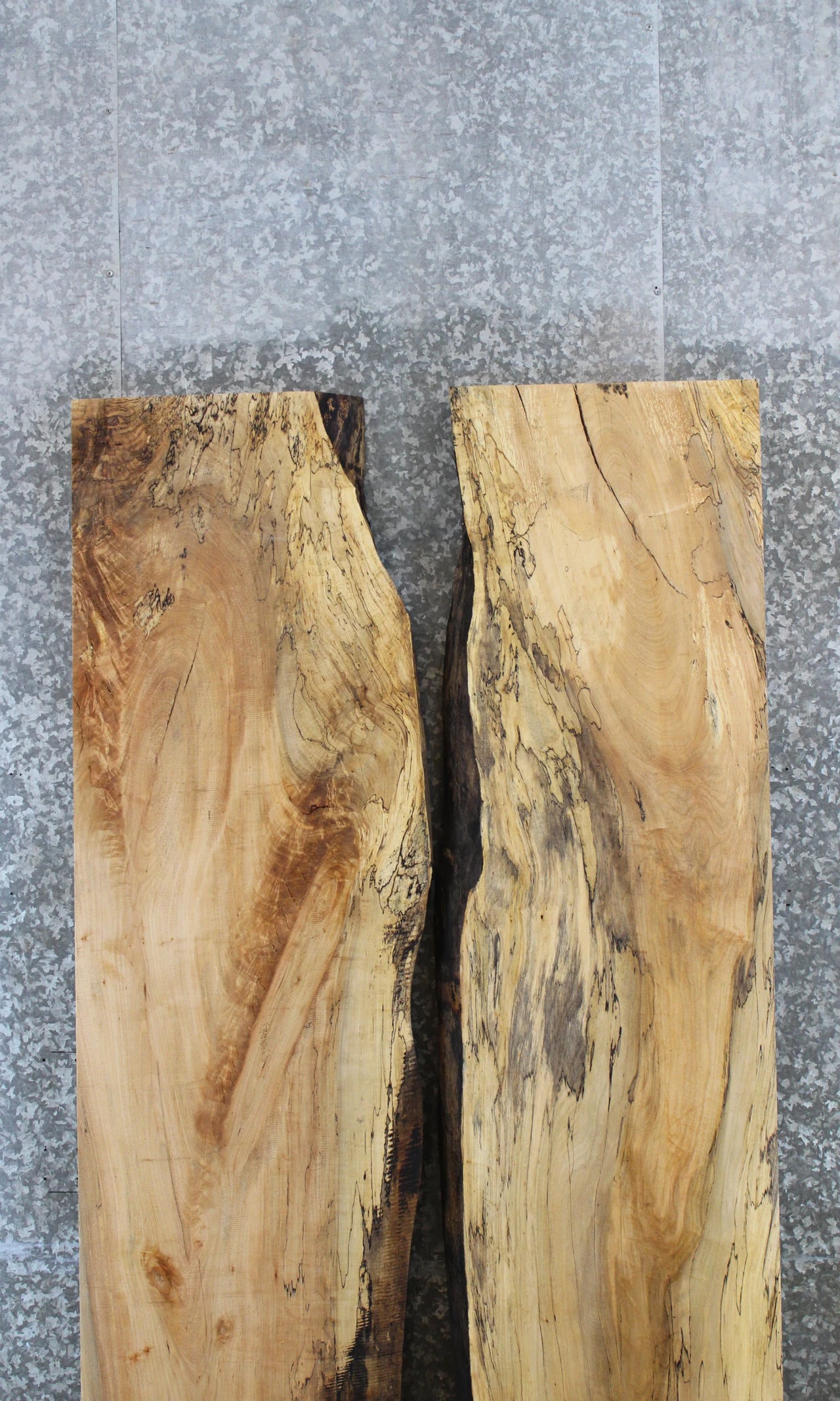 2- Live Edge Spalted Maple Conference Table Top Slabs 39302-39303