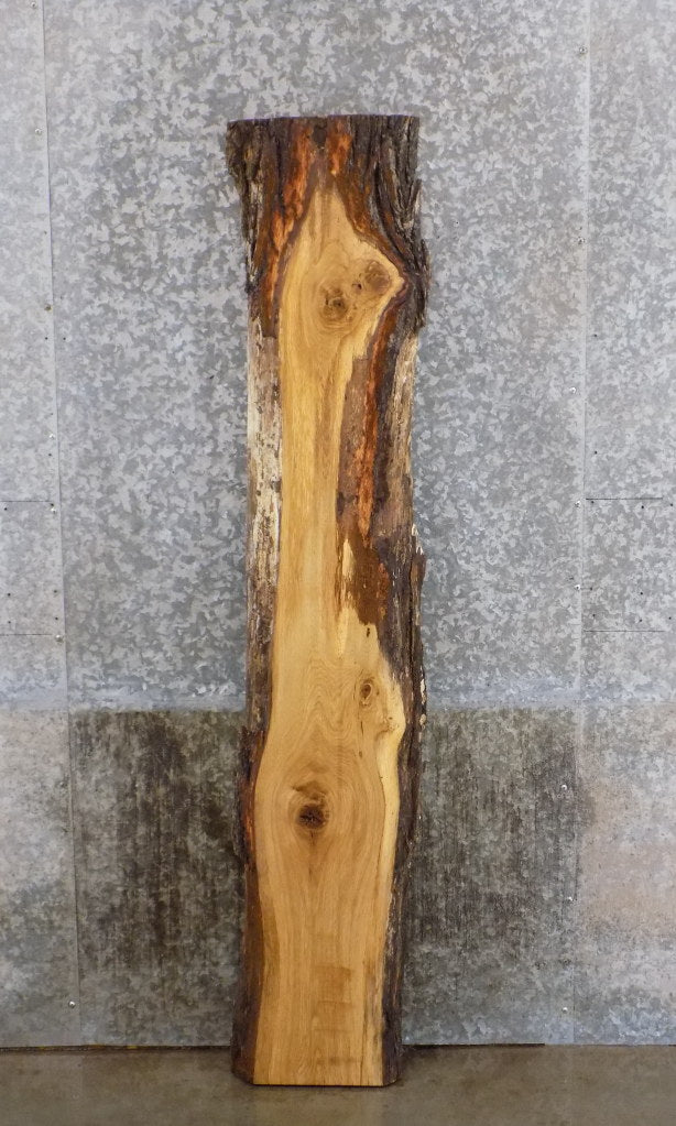 Natural Edge White Oak Sofa/Cocktail Table Top Slab CLOSEOUT 39304