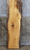 Thumbnail for Natural Edge White Oak Sofa/Cocktail Table Top Slab CLOSEOUT 39304