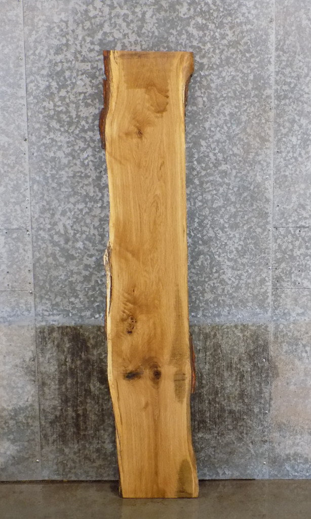 Natural Edge White Oak Sofa/Cocktail Table Top Slab CLOSEOUT 39304