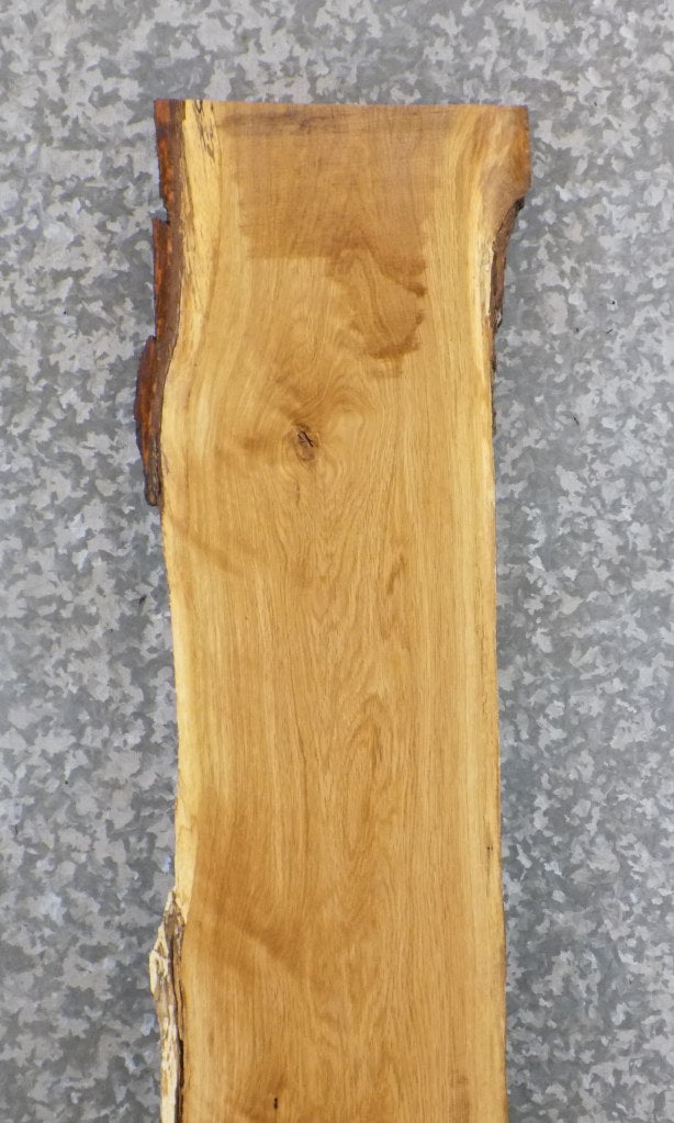 Natural Edge White Oak Sofa/Cocktail Table Top Slab CLOSEOUT 39304