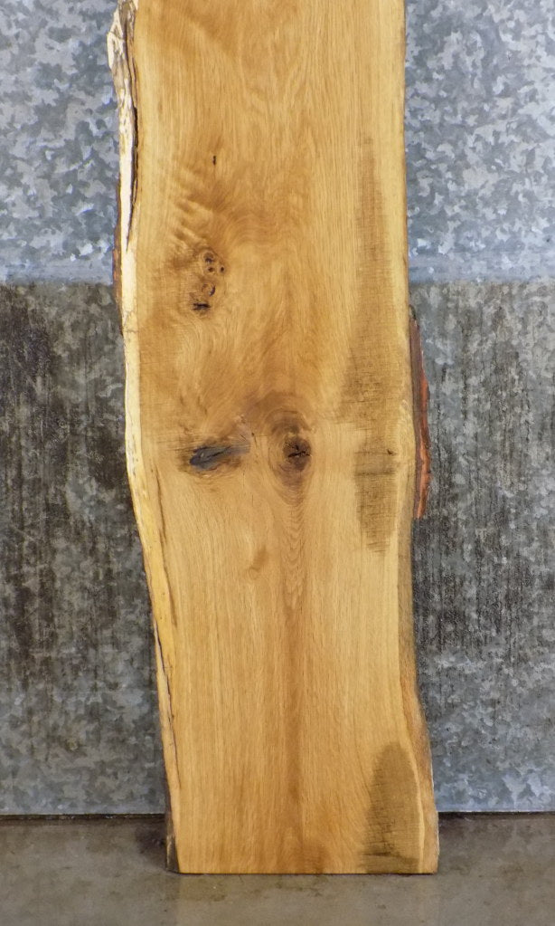 Natural Edge White Oak Sofa/Cocktail Table Top Slab CLOSEOUT 39304