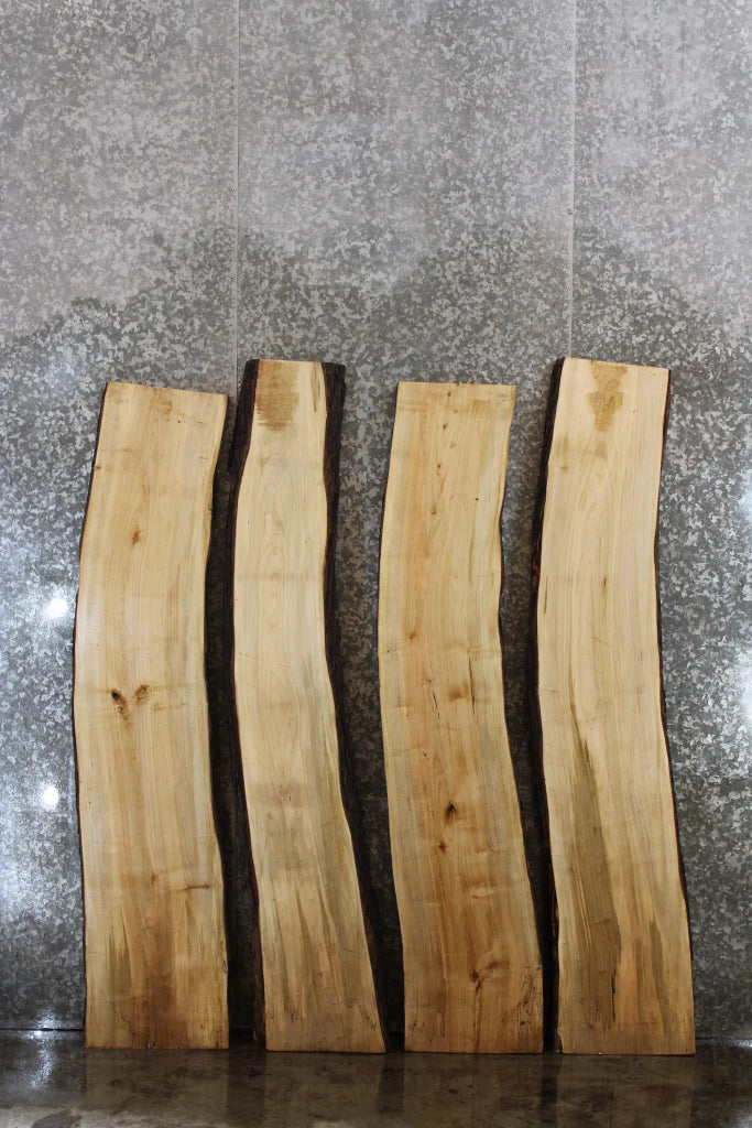 4- Rustic Spalted Maple Live Edge Wood Slabs, Craft Pack 39307-39310