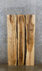 Thumbnail for 3- Live Edge Bookmatched Spalted Maple Dining Table Top Slab 39323-39325