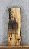 Thumbnail for Live Edge Maple Coffee Table Top Wood Slab 39326