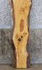 Thumbnail for Natural Edge White Oak Reception Table/Bar Top Slab CLOSEOUT 39331