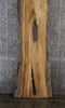 Thumbnail for Elm Live Edge Mantel/Console Table Slab, Wood Bench 39331