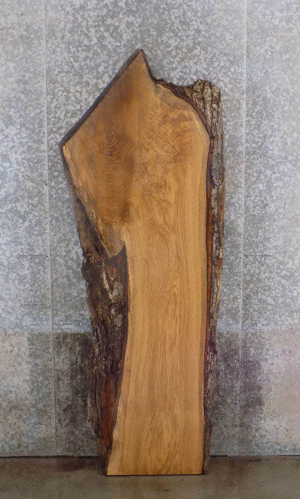 Salvaged White Oak Live Edge Office Desk/Table Top Wood Slab 39332