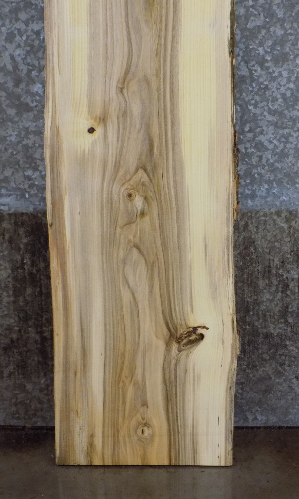 Reclaimed Live Edge Hackberry Table Top Slab CLOSEOUT 39336
