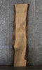 Thumbnail for Spalted Maple Live Edge Desk/Bar Top Slab 39341