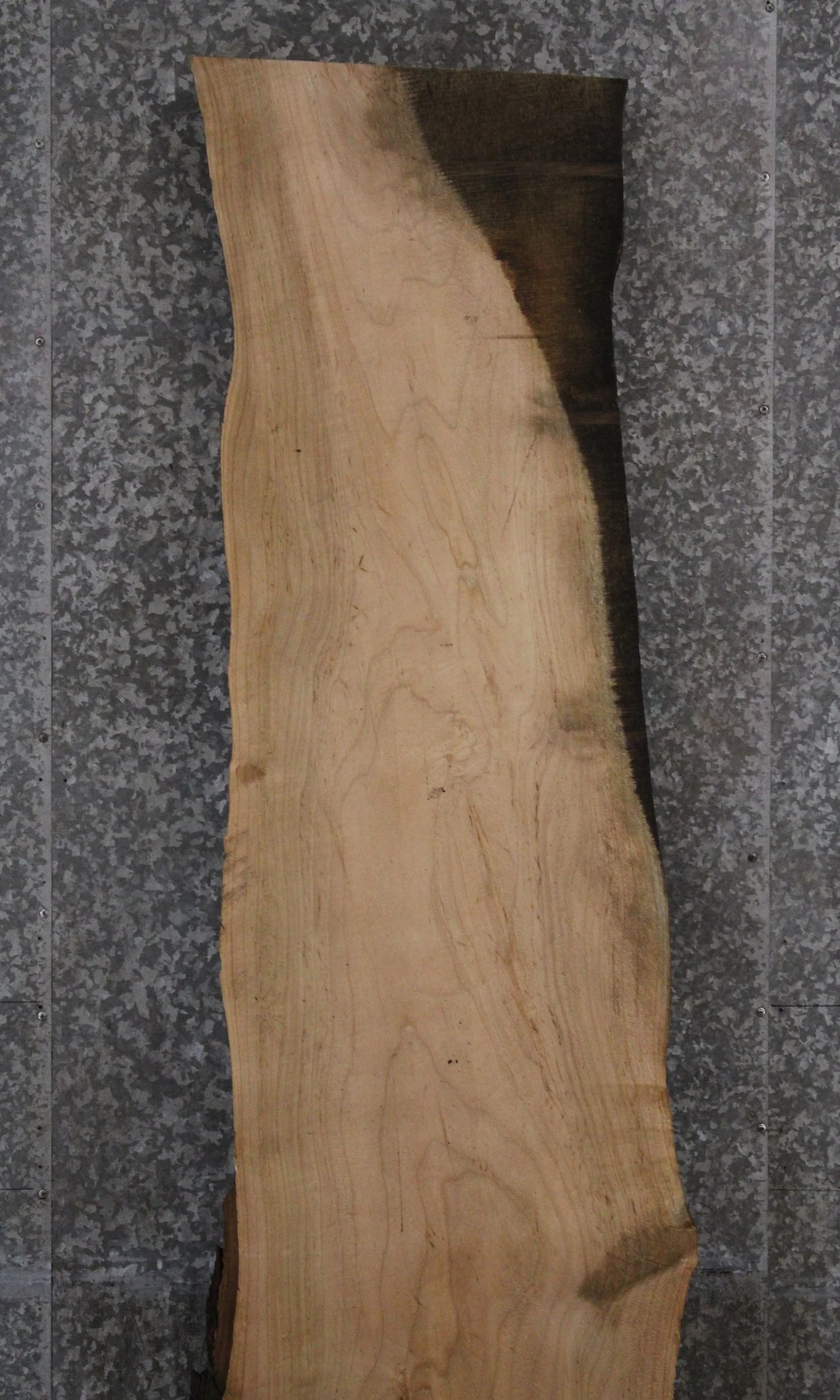 Spalted Maple Live Edge Desk/Bar Top Slab 39341