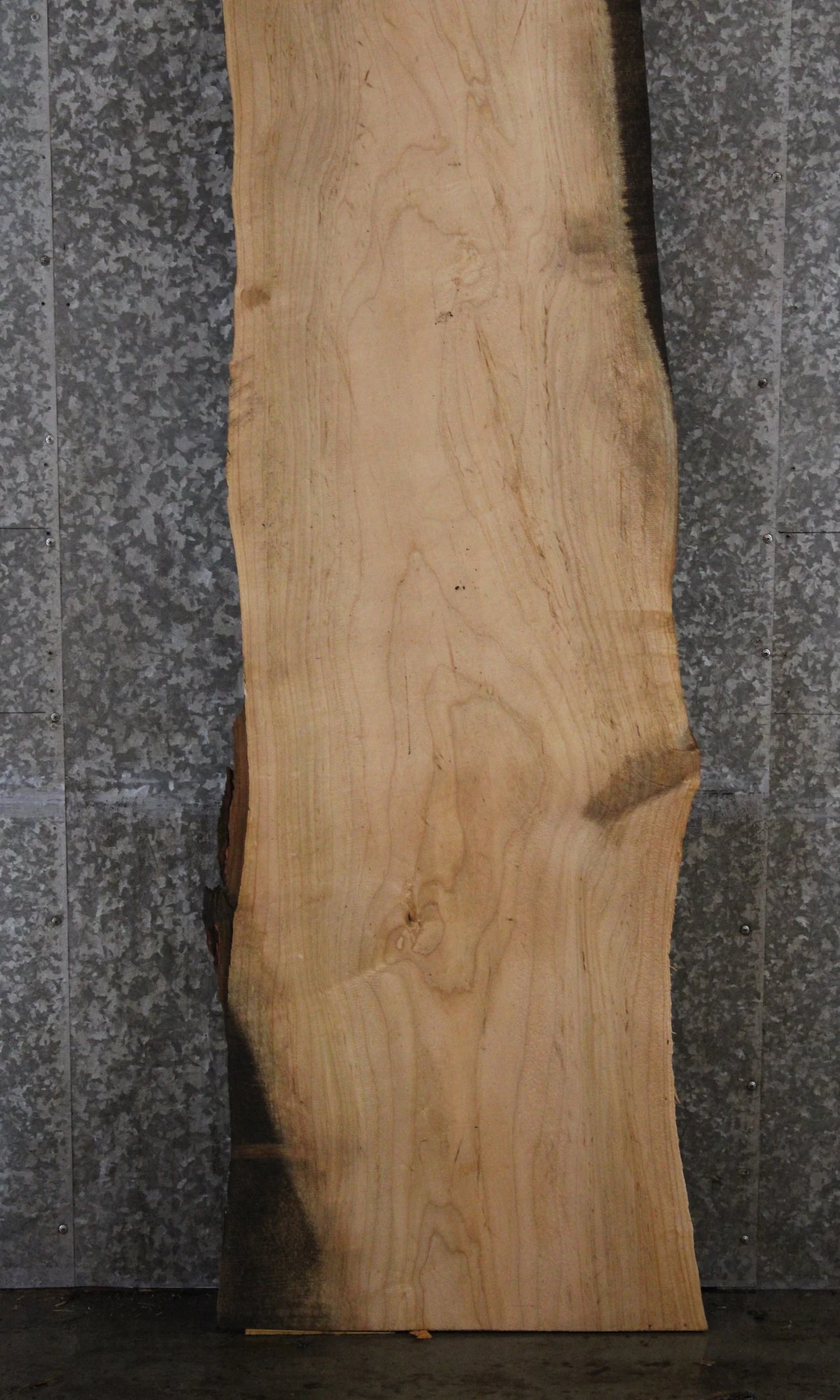 Spalted Maple Live Edge Desk/Bar Top Slab 39341