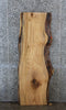 Thumbnail for Rustic Live Edge Ash Wood Slab, Bar Top, Countertop, Table 39342