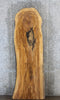 Thumbnail for Live Edge Ash Rustic Wood Slab, Headboard Slab 39347
