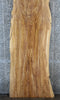 Thumbnail for Live Edge Ash Rustic Wood Slab, Headboard Slab 39347