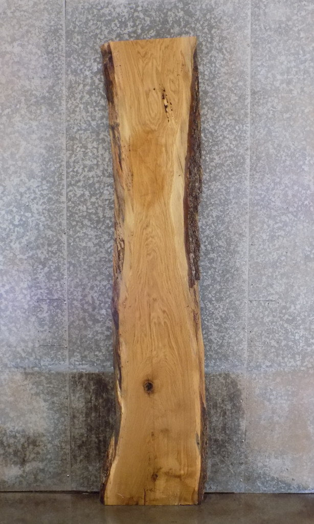 Live Edge White Oak Rustic Headboard/Bar Top Wood Slab 39360