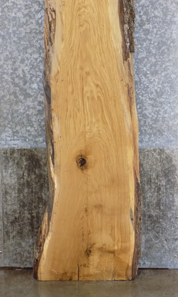 Live Edge White Oak Rustic Headboard/Bar Top Wood Slab 39360