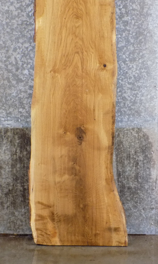 Live Edge White Oak Rustic Headboard/Bar Top Wood Slab 39360
