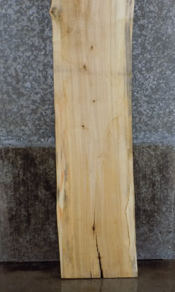 Live Edge Cottonwood Bar/Cocktail Table Top Slab CLOSEOUT 39376