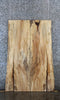 Thumbnail for 2- Spalted Maple Live Edge Dining Table Top, Desk Top Slab Set 39406-39407