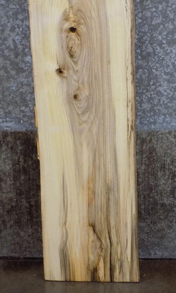Natural Edge Hackberry Sofa/Coffee Table Top Slab CLOSEOUT 39408