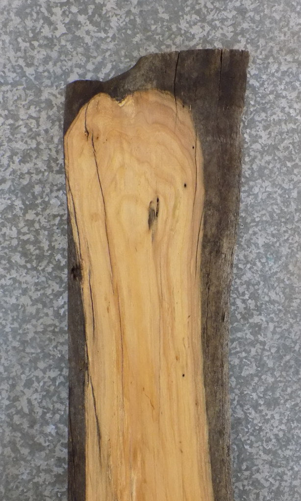 Partial Live Edge Ash Bar/Sofa Table Top Wood Slab CLOSEOUT 39414