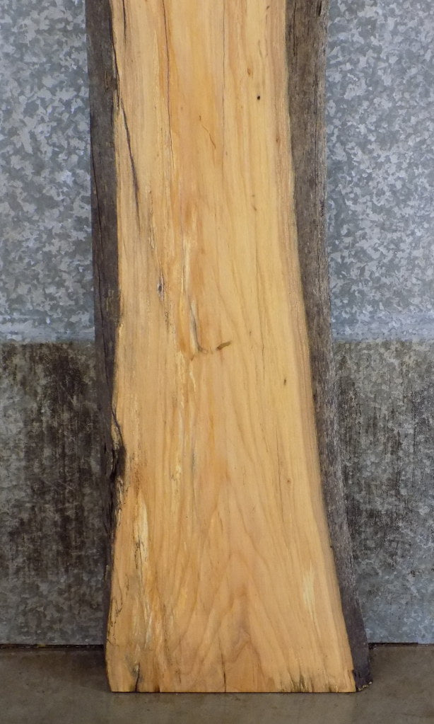Partial Live Edge Ash Bar/Sofa Table Top Wood Slab CLOSEOUT 39414